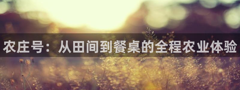 FH至尊属于哪里啊公司