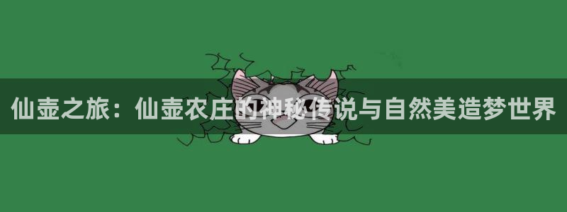 FH至尊是正规平台吗