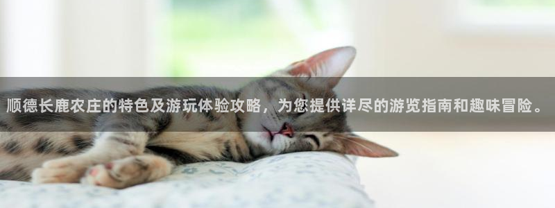fh至尊是不是黑平台