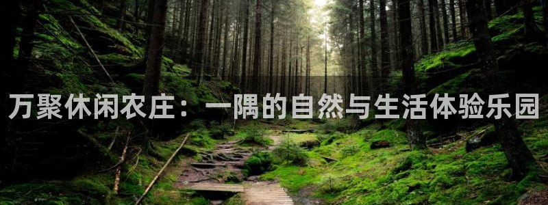 fh至尊什么意思