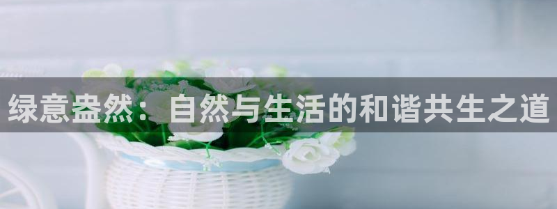 fh至尊平台简介