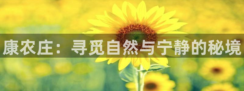 FH至尊平台是什么平台