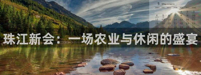 FH至尊黑钱