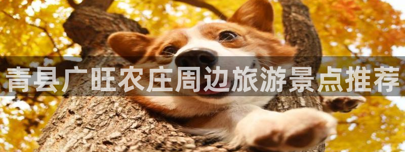 FH至尊app