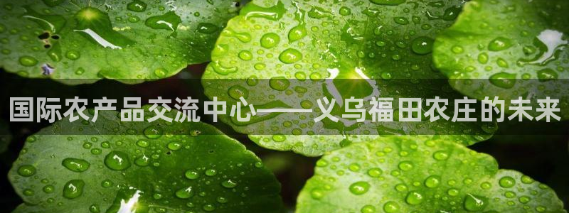 fh至尊是什么牌子