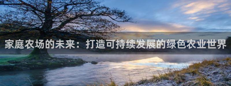 FH至尊出问题了