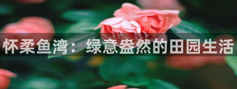 FH至尊黑钱