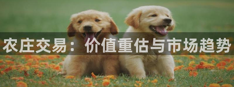 FH至尊平台