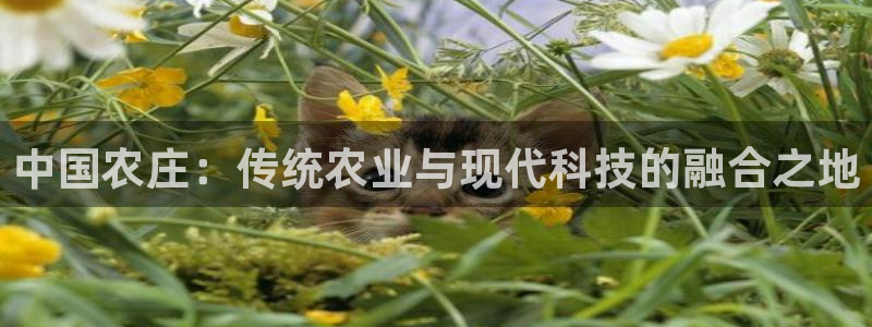 凤凰娱乐FH至尊