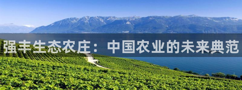 fh至尊凤凰平台下载