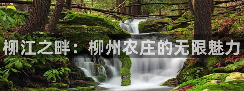 fh至尊游戏代理