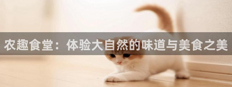 fh至尊是不是假的