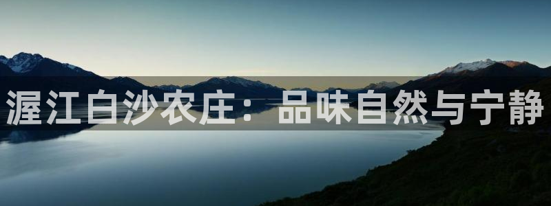 fh至尊什么意思