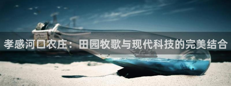 fh至尊手机端进不去
