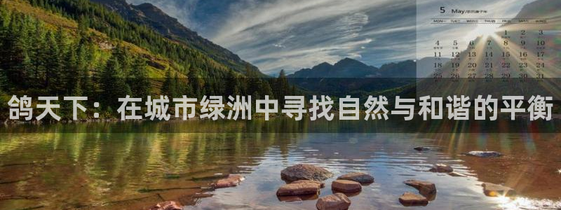 fh至尊是什么平台