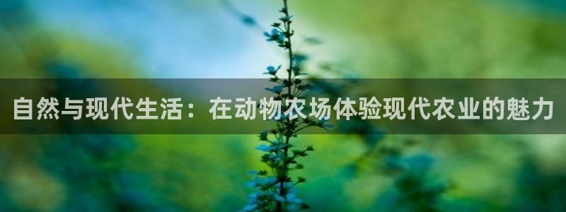 fh至尊正规吗