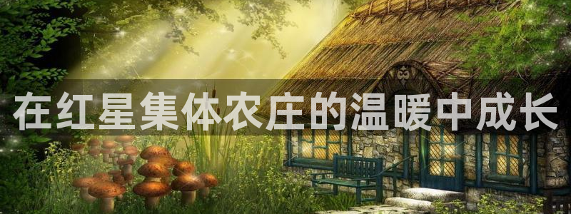 FH至尊是什么