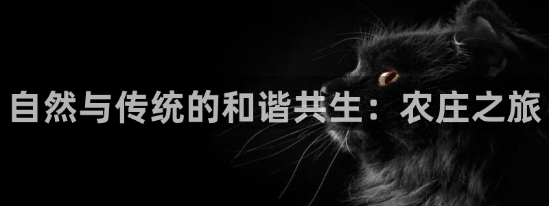 沃尔沃fh至尊旗舰版