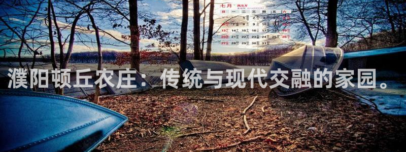 fh至尊最新版本
