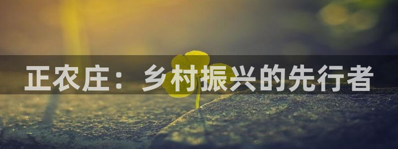 FH至尊平台怎样