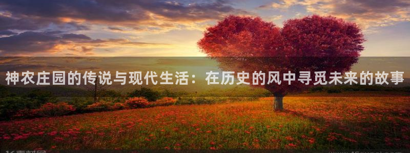 fh至尊怎么没有了