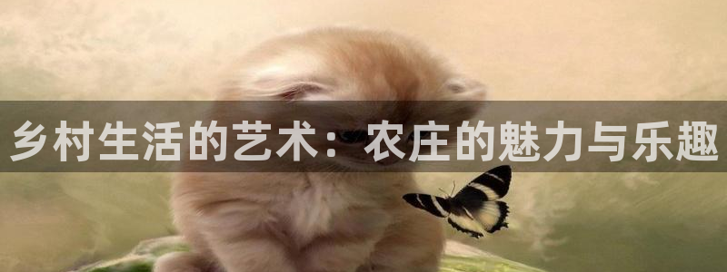 fh至尊版手机app