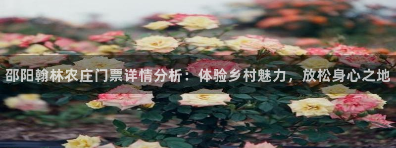 fh至尊官方网站