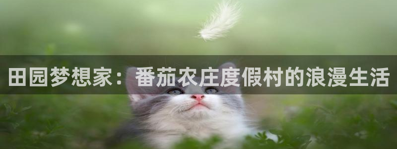 fh至尊在哪可以下载