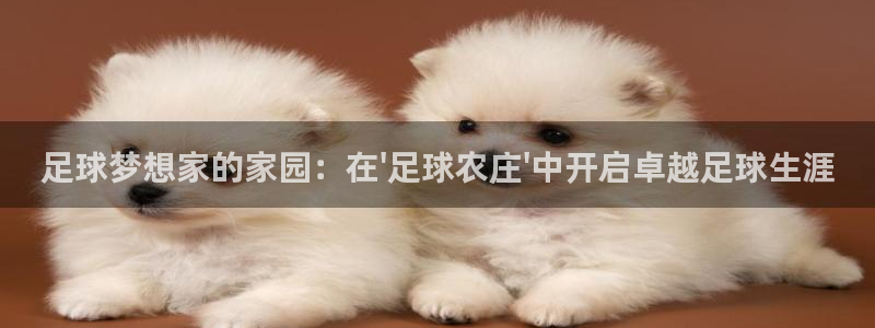 FH至尊平台怎样