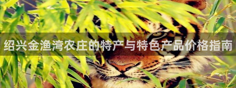 fh至尊平台玩的人多吗