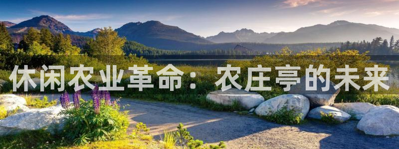 fh至尊官方网站
