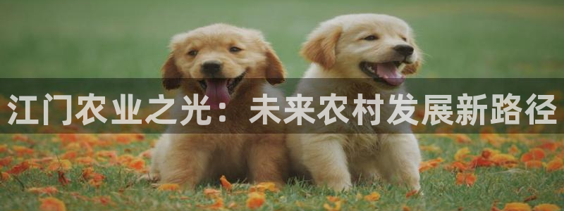fh至尊官方旗舰店