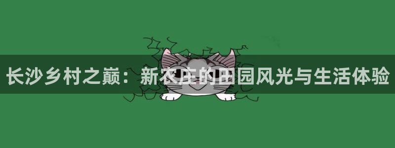 fh至尊香港办事处