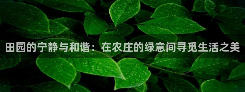 fh至尊平台坑人
