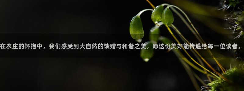 FH-FH至尊版的功能
