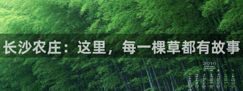 fh至尊最新版本