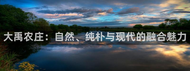 FH至尊属于哪里啊公司