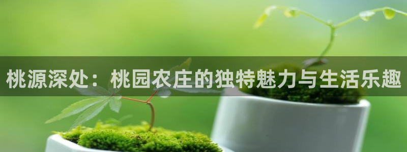 FH至尊登陆