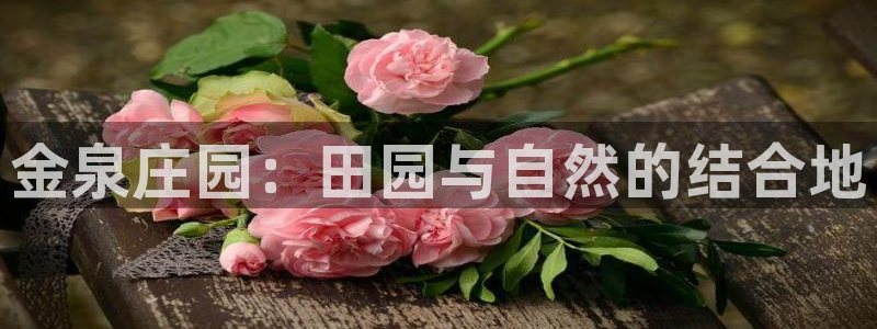 fh至尊是凤凰平台吗