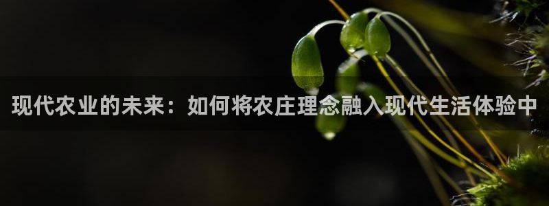 fh至尊邀请码