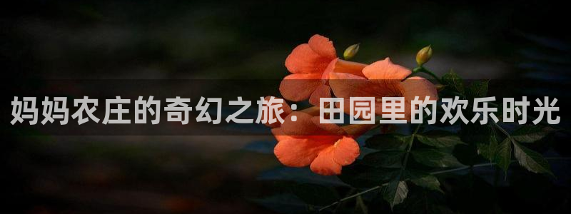 FH至尊娱乐