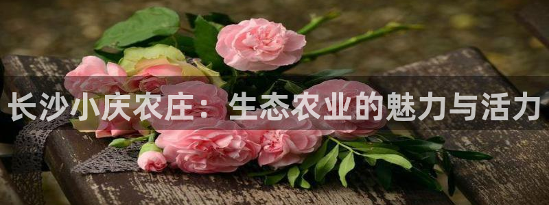 凤凰娱乐FH至尊App