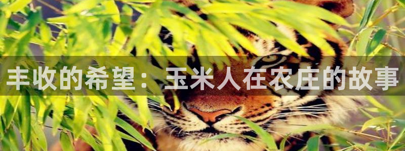 fh至尊在哪可以下载