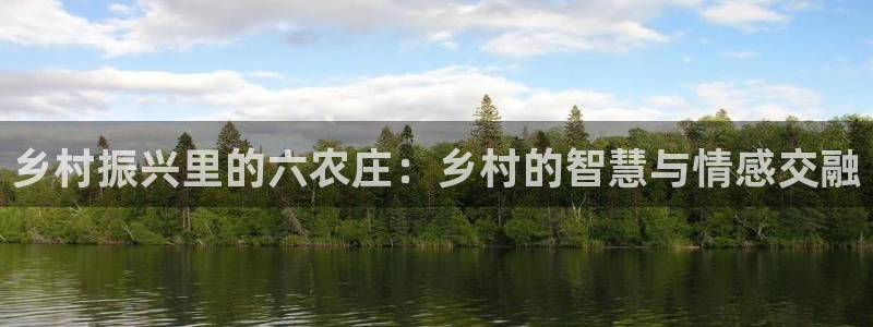 fh至尊网页登入