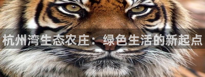 fh至尊平台登录wap