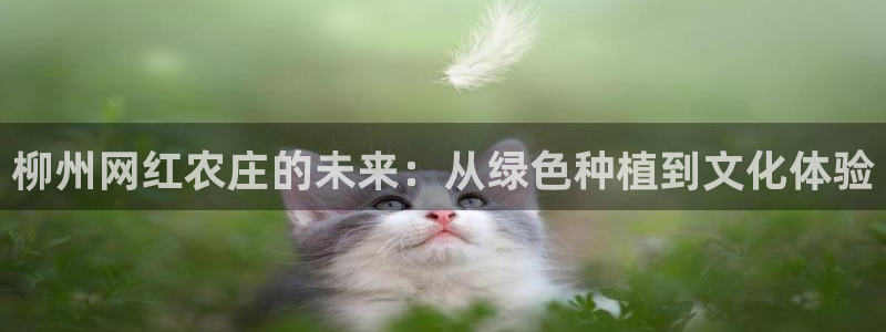 FH至尊娱乐平台
