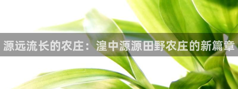 凤凰娱乐FH至尊地址