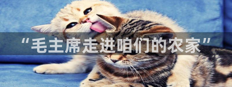 fh至尊游戏代理