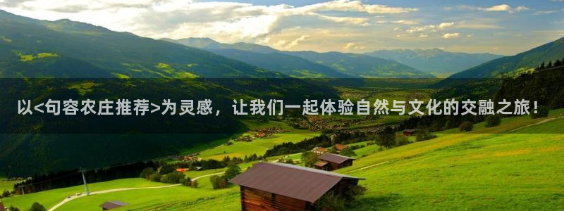 fh至尊网页登入