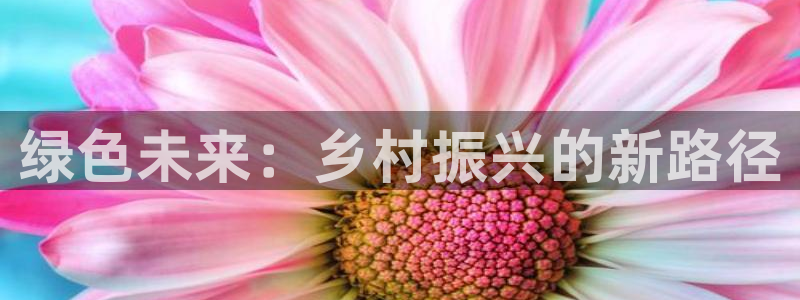 凤凰至尊FH正常登录